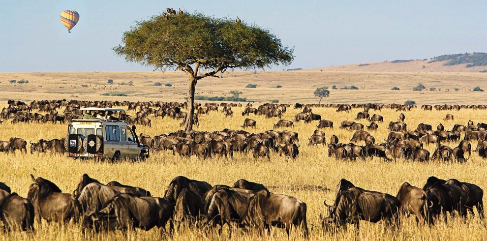 Maasai Mara National Reserve