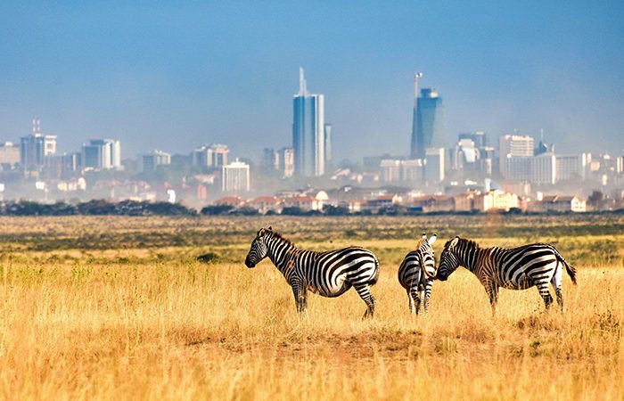 Nairobi National Park Rosallin Adventure 1