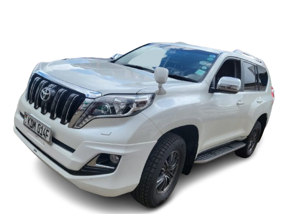 Prado car hire